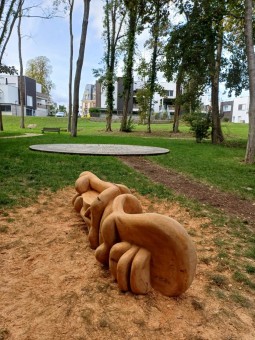 Systèmes racinaires